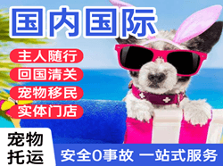 阿尔山国际宠物托运 【国